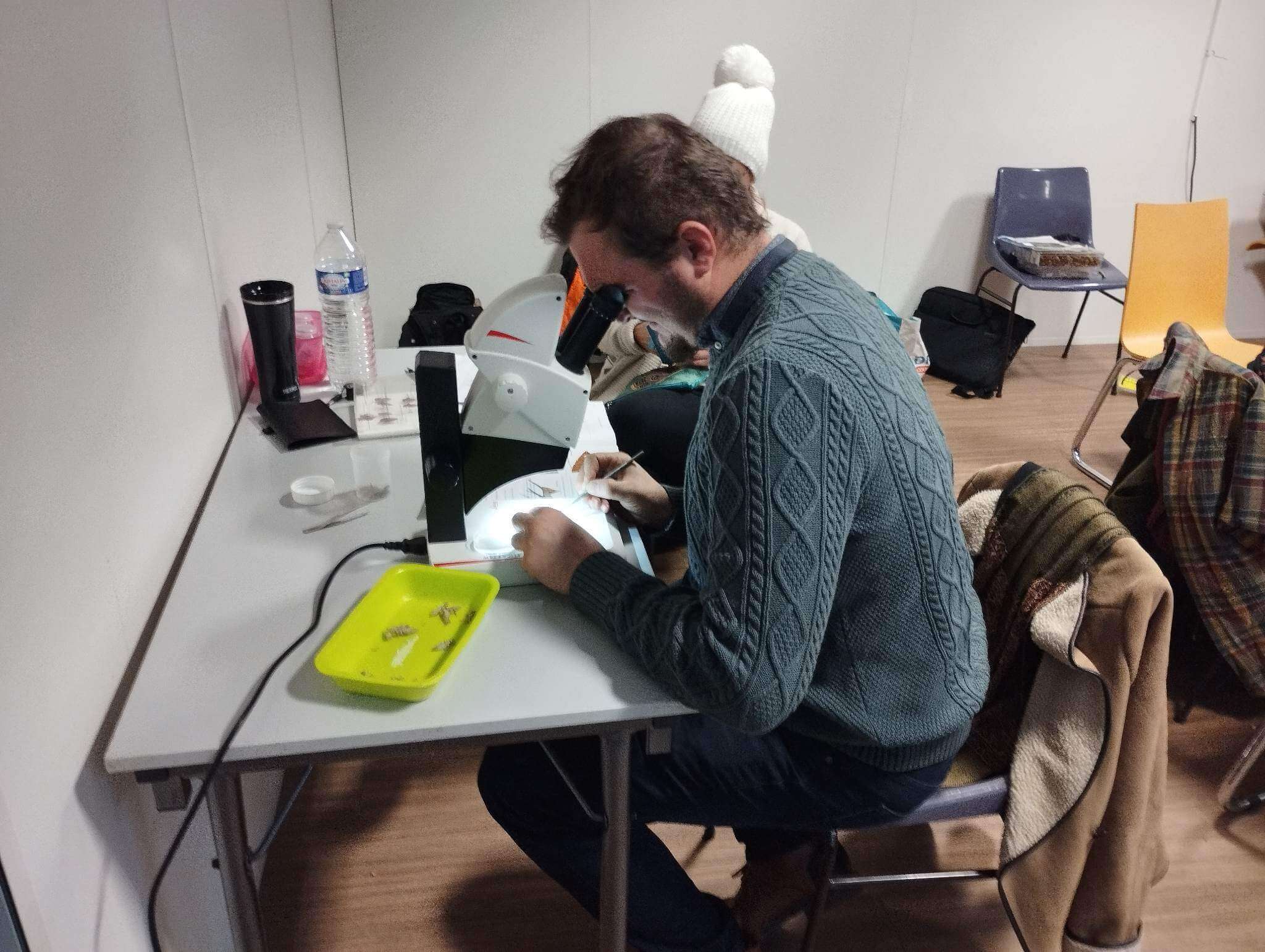 formation odonates 2026, apprendre à déterminer les exuvies de libellule