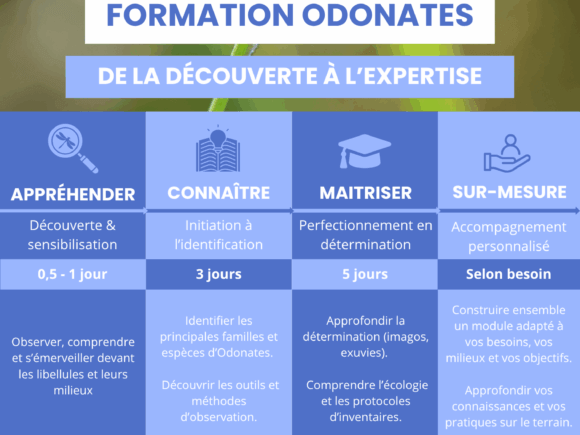 Offre de formation odonate